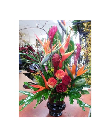 Tropical Arrangement